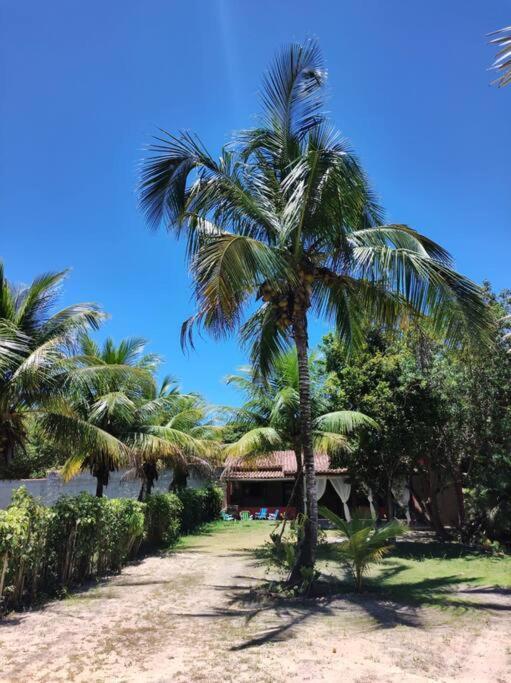 Casa Cumuruxatiba, Natureza E Charme Eksteriør billede