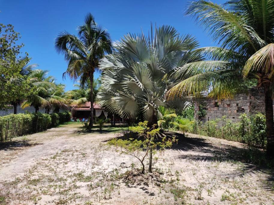 Casa Cumuruxatiba, Natureza E Charme Eksteriør billede